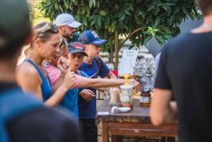 コルチュラ島のバギーサファリとワインの試飲