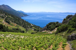 Korčula Day Trip with Wine Tasting