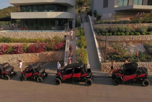 Korcula Island: Buggy Beach Safari with Lunch and Snorkeling