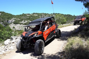 Korcula Island: Buggy Beach Safari with Lunch and Snorkeling