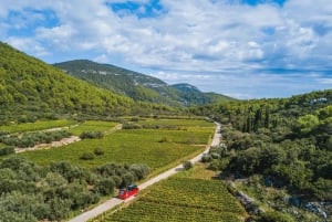 From Korcula Town: Local Wine & Sightseeing Half-Day Tour