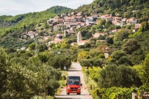 From Korcula Town: Local Wine & Sightseeing Half-Day Tour