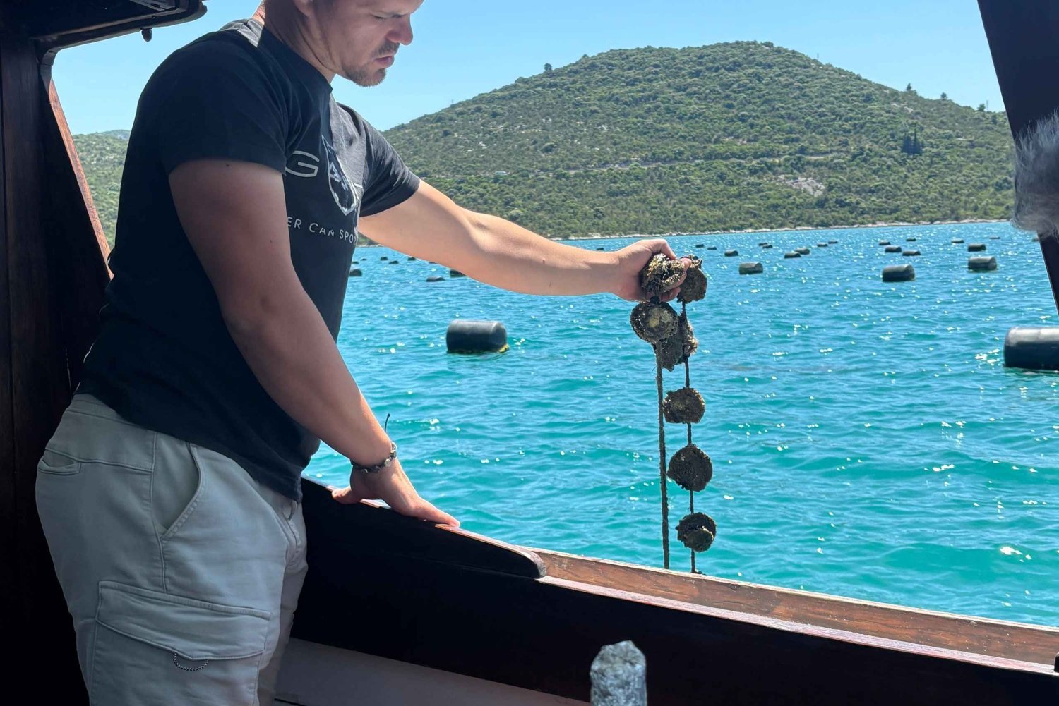 Korčula/Orebic : VIP Pelješac ECO Tour with Wine & Oysters