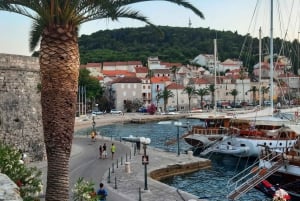 Korčula & Pelješac: Wine & Culture Experience from Dubrovnik