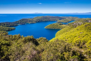 Korčula Town: Mljet National Park Hiking Tour