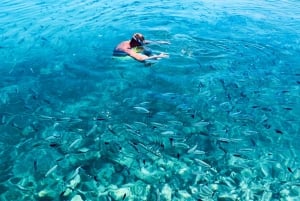 Tour delle 3 isole di Zara: snorkeling, spiaggia e tour panoramico 4,5 ore