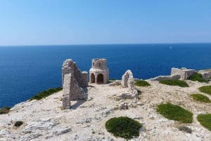 Tour delle 3 isole di Zara: snorkeling, spiaggia e tour panoramico 4,5 ore