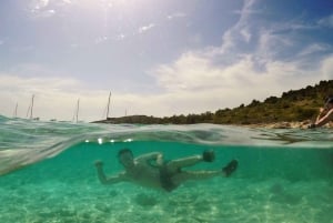 Tour delle 3 isole di Zara: snorkeling, spiaggia e tour panoramico 4,5 ore
