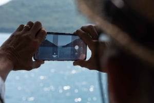 コトルとペラストドブロヴニクからのガイド付き日帰り旅行