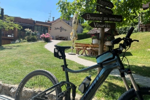 Krapinske Toplice: e-biketocht en wijnproeverij op Vuglec Breg