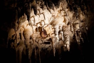 Krk: Entrébiljett till Biserujka-grottan
