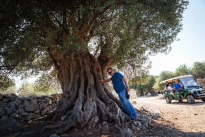 Krk : Excursion en bateau à Rab et Pag avec visite et baignade