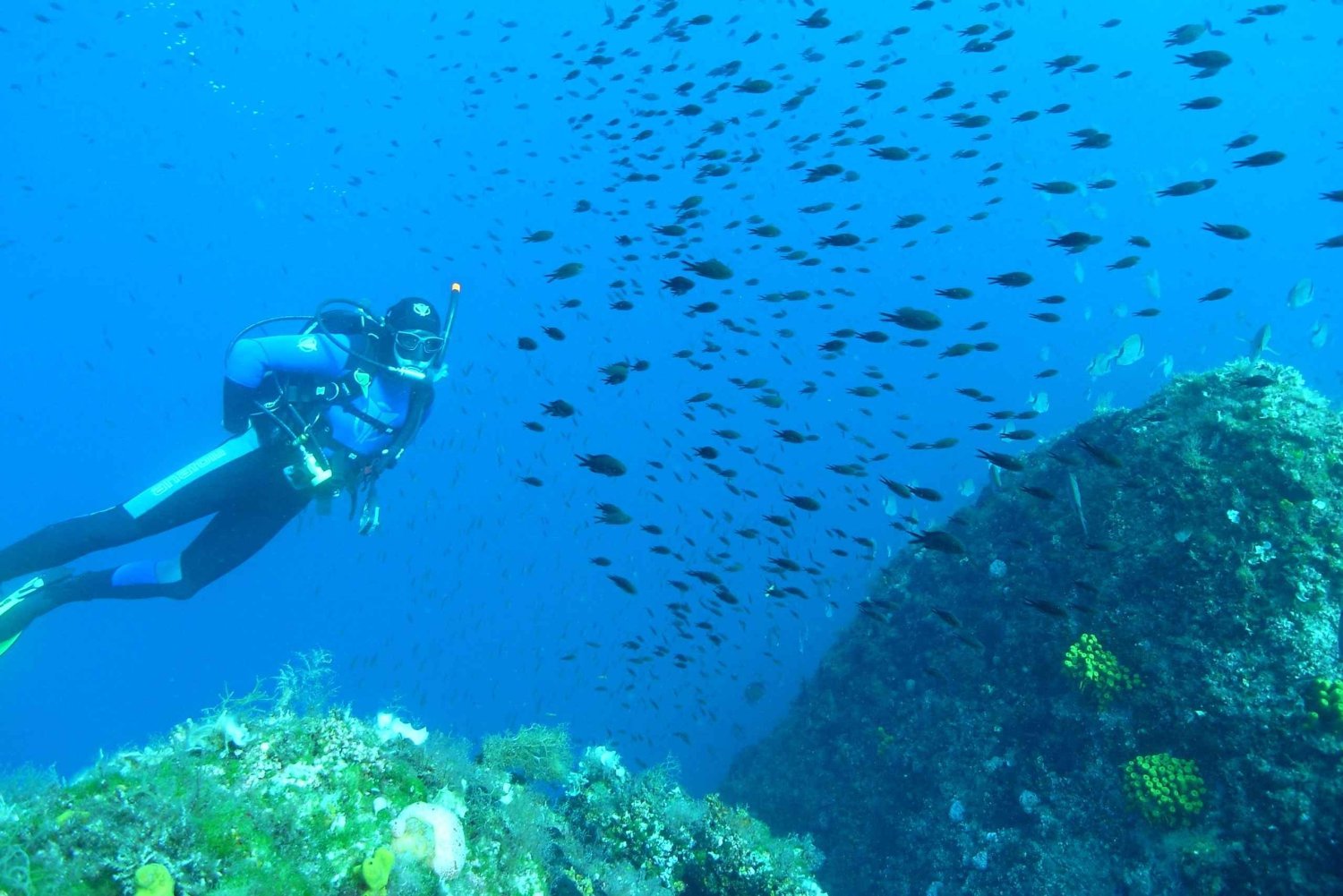 Krk: Discovery scuba dive from the boat