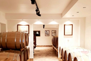 Krk: Family-Owned Winery Tour and Tasting