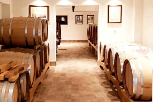 Krk : Visite et dégustation d'un vignoble familial