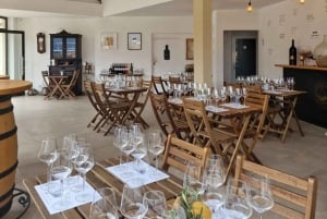 Krk : Visite et dégustation d'un vignoble familial