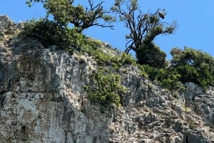 Krk: Bahía Dorada, Cueva Azul y Crucero por las 4 Islas