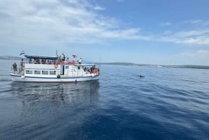 Krk: Bahía Dorada, Cueva Azul y Crucero por las 4 Islas