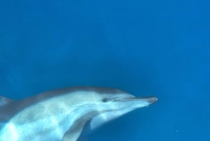 Krk: Bahía Dorada, Cueva Azul y Crucero por las 4 Islas