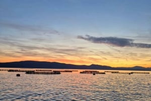 Krk: Bahía Dorada, Cueva Azul y Crucero por las 4 Islas