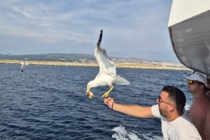 Krk: Bahía Dorada, Cueva Azul y Crucero por las 4 Islas