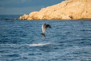 Krk: Golden Beach og Plavnik Cave Cruise med velkomstdrink