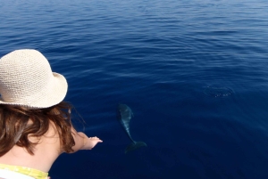 Krk: Rabin ja Pagin veneretki, uiminen ja kaupunkikierros lounaalla