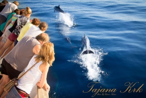 Krk: Rabin ja Pagin veneretki, uiminen ja kaupunkikierros lounaalla