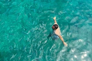 Krk: Bahía Dorada, Cueva Azul y Crucero por las 4 Islas