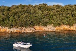 Krk：ワイン付きサンセットボートツアー（イルカ遭遇率高め）