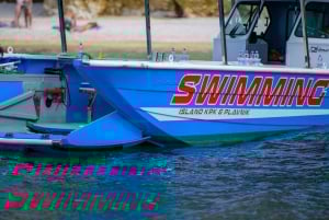 Krk: Swimming and Snorkeling tour on Golden Bay