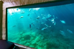 Krk: Yellow Semi-Submarine Tour