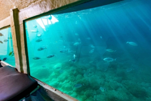 Krk: Yellow Semi-Submarine Tour