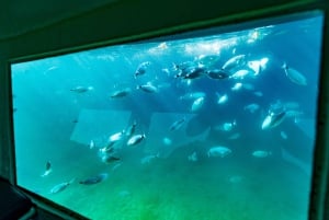 Krk: Yellow Semi-Submarine Tour