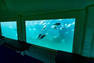 Krk: Yellow Semi-Submarine Tour