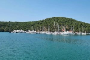 Krka-vandfaldet eftermiddagstur, inklusive guide og entré