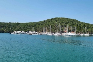 Eftermiddagstur till Krka-vattenfallen, inklusive guide och inträde