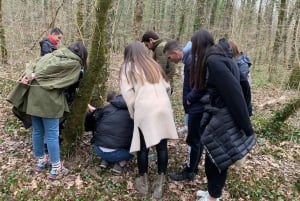 Livade: Guided Truffle Hunting Walking Tour
