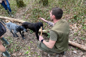 Livade: visite guidée à pied de la chasse aux truffes
