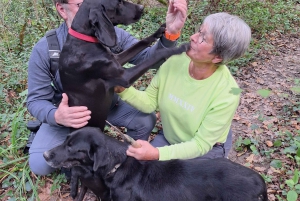 Livade: tour guiado a pie de caza de trufas