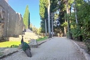 Randonnée sur l'île de Lokrum : histoire, nature et récits