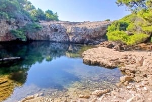 Randonnée sur l'île de Lokrum : histoire, nature et récits
