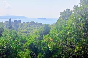 Randonnée sur l'île de Lokrum : histoire, nature et récits