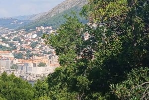 Randonnée sur l'île de Lokrum : histoire, nature et récits