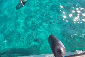 Makarska: 3 island, Cave, Cliffs, Jelsa, Lagoon, Golden Horn