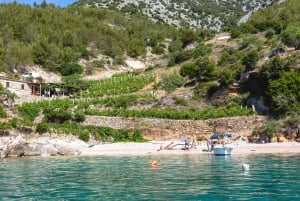 Makarska: 3-island Speedboat Cave & Blue Lagoon Tour