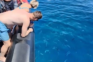 Makarska: 3-Insel-Schnellboot-Tour zum Goldenen Horn und zur Blauen Lagune