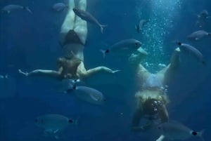 Makarska: 3-Insel-Schnellboot-Tour zum Goldenen Horn und zur Blauen Lagune