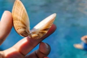 Makarska: 3-Insel-Schnellboot-Tour zum Goldenen Horn und zur Blauen Lagune