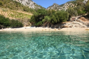 Makarska: 3-Island Speedboat Golden Horn & Blue Lagoon Tour